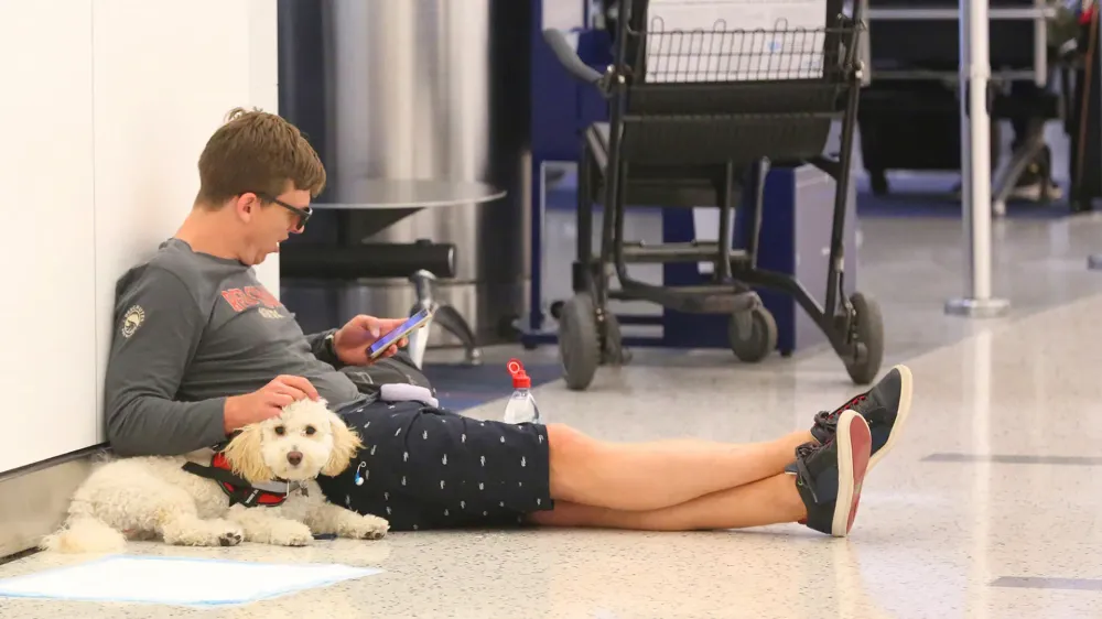 man in airport with dog, service animals on planes.